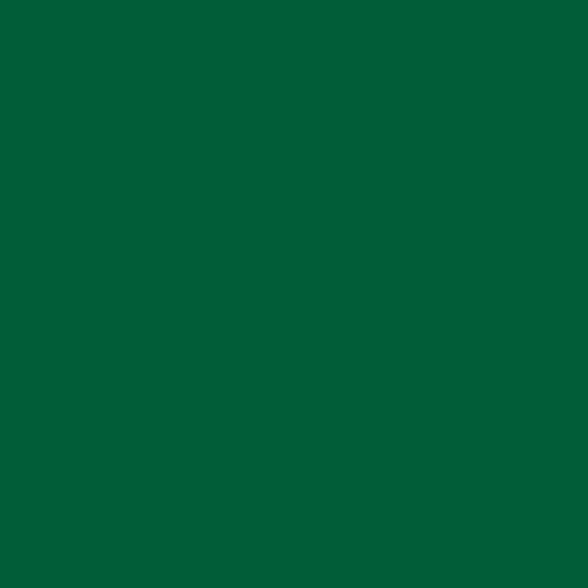 Product Image of RAL 6002 - Leaf Green
