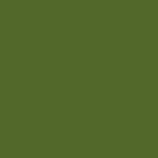 Product Image of RAL 6025 - Fern Green