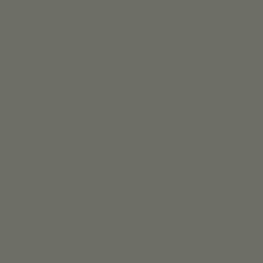 Product Image of RAL 7003 - Moss Grey