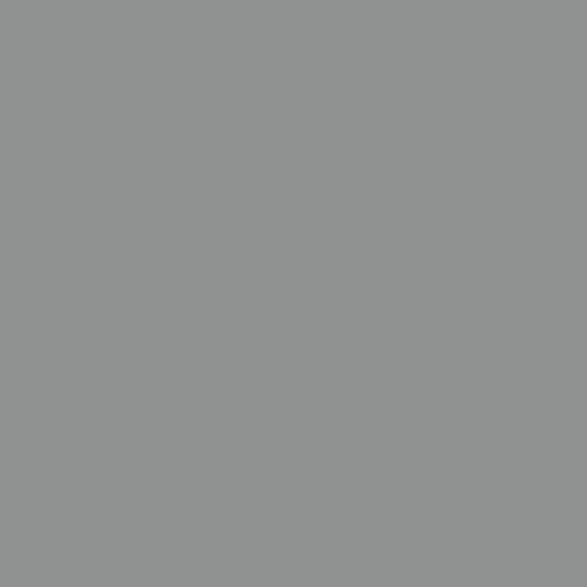 Product Image of RAL 7004 - Signal Grey